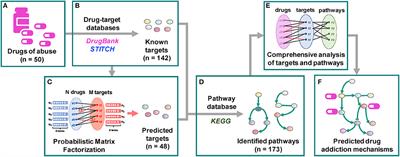 Quantitative Systems Pharmacological Analysis of Drugs of Abuse Reveals the Pleiotropy of Their Targets and the Effector Role of mTORC1